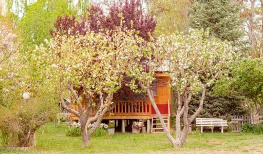 Hosteria La Farfalla ชอสมาลาล ภายนอก รูปภาพ
